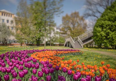 Spring Flora – Weekend for Two